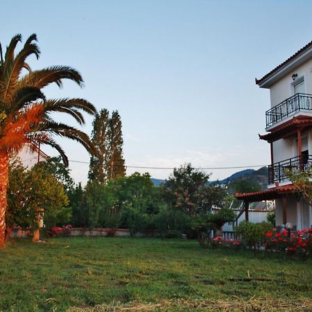 Villa Vicky Πέτρα Εξωτερικό φωτογραφία