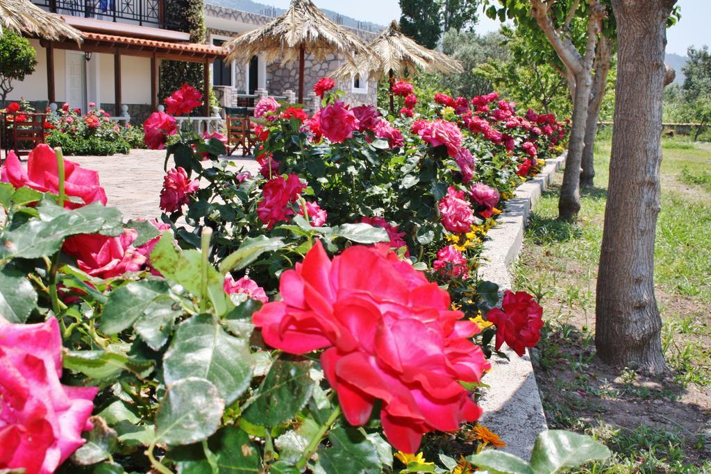 Villa Vicky Πέτρα Εξωτερικό φωτογραφία