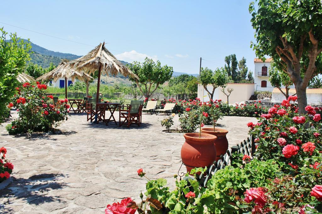 Villa Vicky Πέτρα Εξωτερικό φωτογραφία