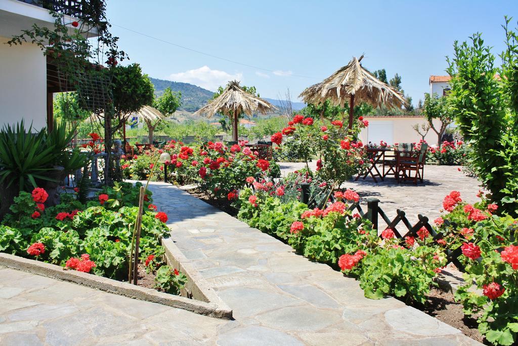 Villa Vicky Πέτρα Εξωτερικό φωτογραφία